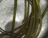 ふきの下茹で〜保存方法作り方3写真