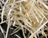 簡単　屋台の焼きうどん（海鮮）作り方8写真