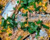 秋刀魚ととうもろこしの炊き込みご飯作り方5写真
