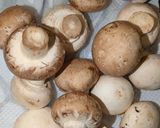 カラダ想いの減塩ビストロ無水ハヤシ作り方3写真