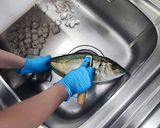 すっごい丁寧！三枚おろし 市場より作り方1写真
