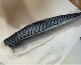 鯖寿司作り方4写真