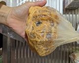たい焼き耳で簡単フレンチ風作り方2写真