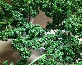 ♻️野菜プレップ｜下処理｜雑学｜①葉茎菜類作り方3写真
