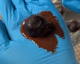 【基本材料2つ】トリュフ風あんチョコ作り方5写真