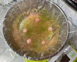桜と抹茶入り・サイダーの春寒天作り方7写真