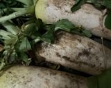簡単　大根の食べ方作り方1写真