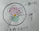 レトロな秋桜：練り切り　秋作り方6写真