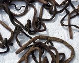 ぜんまいの煮方と干し方(保存の仕方)作り方10写真