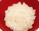 奥久慈しゃも弁当風 とりめし弁当作り方11写真