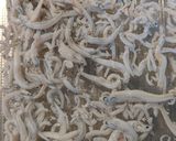 ほぼカニ釜揚げしらすのせうどん作り方2写真