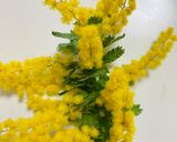 本物のミモザサラダ￼作り方1写真