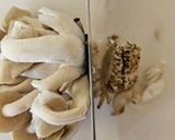 ブロッコリーのリースグラタン作り方3写真