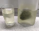 暑い日の冷たい水出し緑茶作り方4写真