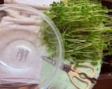 巧妙な豆苗のサラダ🤣😂🤣😂作り方1写真