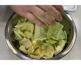 鶏肉と蓮根の塩キャベツサラダ★動画あり★作り方8写真