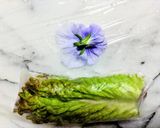 クリスマスメニュー！生春巻き作り方7写真