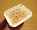 バケツ稲の恵み2024作り方7写真