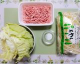 簡単夕食昼食ワンパンでキャベツ挽肉もやし焼きそば作り方1写真