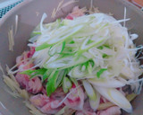 ＊柔らか豚肉と長ネギの超しょうが焼き＊作り方4写真