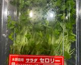 和風彩り大根サラダ作り方1写真
