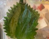 【冷蔵】1番簡単！しそ（大葉）の保存方法作り方1写真