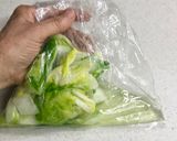 ★すぐ食べられる！白だしで白菜の浅漬け作り方6写真