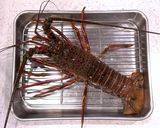 伊勢海老の刺身作り方5写真