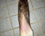 簡単　たけのこでメンマ作り作り方1写真