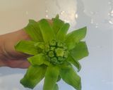 春の味覚☆ふきのとうの天ぷら☆みそだれ付作り方2写真