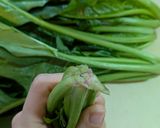 めんつゆで！！ほうれん草のおひたし作り方2写真