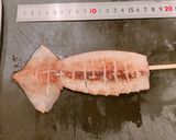 びっくりドンキー風、いかの箱舟作り方1写真