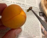 旬の味！杏シロップ煮をサワークリームで♡作り方1写真