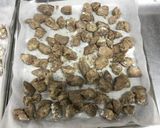 【保育園給食】鶏レバーのヤンニョム風作り方3写真