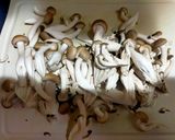 しめじと小松菜の和風パスタ作り方1写真