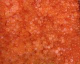生すじこでいくらの醤油漬け☆我が家の味作り方6写真
