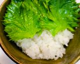 生カツオの漬けと漬け丼作り方5写真