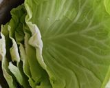 春キャベツde野菜好きのロ－ルキャベツ作り方1写真