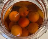 スパイス梅酒作り方6写真