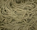 豆腐うどん(冷) 蕎麦も可作り方2写真