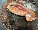 ズボラなイカめし🦑作り方4写真
