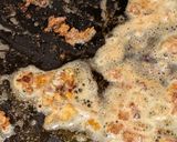 小鯵と玄米フレーク揚げ作り方5写真