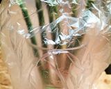 ♻️保存法｜アスパラ｜収穫後も伸びる？保湿作り方2写真