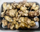 自宅で簡単放置フードドライヤーで干し椎茸作り方4写真