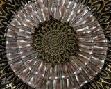 キビナゴの菊花盛り　手開きで美しく盛り付ける刺身作り方10写真