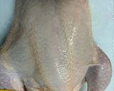プルプル参鶏湯作り方3写真