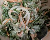 おばあちゃん家のセリのかき揚げお蕎麦☆作り方1写真