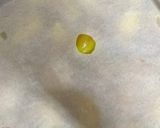 イチジクの甘露煮作り方6写真