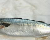 初心者でも簡単！サバの味噌煮作り方3写真