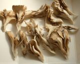 和栗と舞茸のガーリックオイル焼き作り方2写真